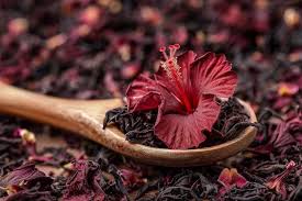 Hibiscus